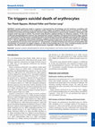 Research paper thumbnail of Tin triggers suicidal death of erythrocytes