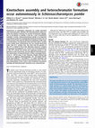 Research paper thumbnail of Kinetochore assembly and heterochromatin formation occur autonomously in Schizosaccharomyces pombe