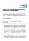 Research paper thumbnail of Efficacy of Essential Oils from Edible Plants as Insecticides Against the House Fly, Musca Domestica L