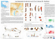 Research paper thumbnail of Les balsamaires du site de la rue du Four à Vannes (56 - Morbihan)