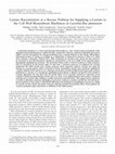 Research paper thumbnail of Lactate Racemization as a Rescue Pathway for Supplying D-Lactate to the Cell Wall Biosynthesis Machinery in Lactobacillus plantarum