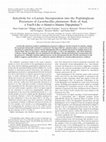 Research paper thumbnail of Selectivity for D-Lactate Incorporation into the Peptidoglycan Precursors of Lactobacillus plantarum: Role of Aad, a VanX-Like D-Alanyl-D-Alanine Dipeptidase