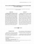 Research paper thumbnail of Evaluación de híbridos experimentales de maíz del PRM en Cenroamérica