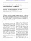 Research paper thumbnail of Dimerization of ADAR2 is mediated by the double-stranded RNA binding domain