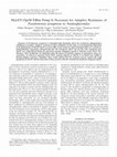 Research paper thumbnail of MexXY-OprM Efflux Pump Is Necessary for Adaptive Resistance of Pseudomonas aeruginosa to Aminoglycosides