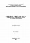 Research paper thumbnail of FAMÍLIA RURAL E PRODUÇÃO DE TABACO: ESTRATÉGIAS DE REPRODUÇÃO SOCIAL  EM ARROIO DO TIGRE/RS