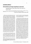 Research paper thumbnail of Extracellular purinergic signaling in pancreas