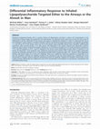 Research paper thumbnail of Differential Inflammatory Response to Inhaled Lipopolysaccharide Targeted Either to the Airways or the Alveoli in Man