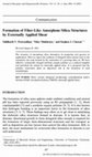 Research paper thumbnail of Formation of Fiber-Like Amorphous Silica Structures by Externally Applied Shear