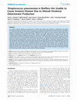 Research paper thumbnail of Streptococcus pneumoniae in Biofilms Are Unable to Cause Invasive Disease Due to Altered Virulence Determinant Production