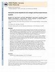 Research paper thumbnail of Interaction of the Hepatitis B Core Antigen and the Innate Immune System