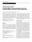 Research paper thumbnail of A new indole alkaloid, 7-hydroxyspeciociliatine, from the fruits of Malaysian Mitragyna speciosa and its opioid agonistic activity