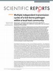 Research paper thumbnail of Multiple independent transmission cycles of a tick-borne pathogen within a local host community