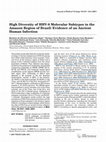 Research paper thumbnail of High diversity of HHV-8 molecular subtypes in the Amazon region of Brazil: Evidence of an ancient human infection