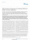 Research paper thumbnail of ERK promotes tumorigenesis by inhibiting FOXO3a via MDM2-mediated degradation