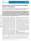 Research paper thumbnail of Structural basis of laminin binding to the LARGE glycans on dystroglycan