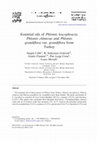 Research paper thumbnail of Essential oils of Phlomis leucophracta, Phlomis chimerae and Phlomis grandiflora var. grandiflora from Turkey