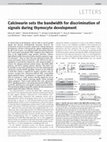 Research paper thumbnail of Calcineurin sets the bandwidth for discrimination of signals during thymocyte development