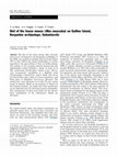 Research paper thumbnail of Diet of the house mouse ( Mus musculus ) on Guillou Island, Kerguelen archipelago, Subantarctic