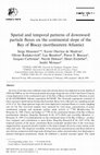 Research paper thumbnail of Spatial and temporal patterns of downward particle fluxes on the continental slope of the Bay of Biscay (northeastern Atlantic