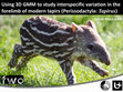 Research paper thumbnail of Using 3D GMM to study interspecific variation in the forelimb of modern tapirs (Perissodactyla: Tapirus)