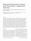 Research paper thumbnail of Effect of stand structure on Stone pine (Pinus pinea L.) regeneration dynamics