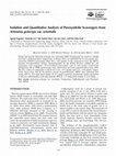 Research paper thumbnail of Isolation and quantitative analysis of peroxynitrite scavengers from Artemisia princeps var. orientalis