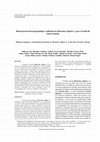 Research paper thumbnail of Mineração da interação genótipo x ambiente em Phaseolus vulgaris L. para o Estado de Santa Catarina