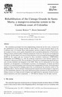 Research paper thumbnail of Rehabilitation of the Cienaga Grande de Santa Marta, a mangrove-estuarine system in the Caribbean coast of Colombia