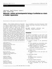 Research paper thumbnail of MOLECULAR, CELLULAR, AND DEVELOPMENTAL BIOLOGY Candidate Gene Expression Analysis of Toxin-Induced Dilated Cardiomyopathy in the Turkey (Meleagris gallopavo