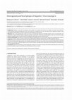 Research paper thumbnail of Heterogeneity and New Epitopes of Hepatitis C Virus Genotype 4