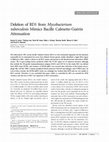 Research paper thumbnail of Deletion of RD1 from Mycobacterium tuberculosis Mimics Bacille Calmette‐Guérin Attenuation