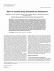 Research paper thumbnail of Rab11 is required during Drosophila eye development