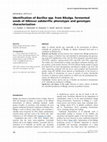 Research paper thumbnail of Identification of Bacillus spp. from Bikalga, fermented seeds of Hibiscus sabdariffa: phenotypic and genotypic characterization