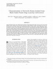 Research paper thumbnail of Characterization of Bartonella Strains Isolated from Black-Tailed Prairie Dogs ( Cynomys ludovicianus )