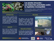 Research paper thumbnail of Les plantes éricacées : une biobarrière potentielle contre la végétation incompatible