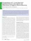 Research paper thumbnail of Encapsulation of 2−3-nm-Sized ZnO Quantum Dots in a SiO 2 Matrix and Observation of Negative Photoconductivity