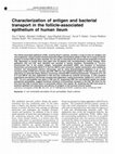 Research paper thumbnail of Characterization of antigen and bacterial transport in the follicle-associated epithelium of human ileum