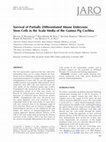 Research paper thumbnail of Survival of Partially Differentiated Mouse Embryonic Stem Cells in the Scala Media of the Guinea Pig Cochlea