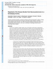 Research paper thumbnail of Magnitude of the Disease Burden from Neurocysticercosis in a Developing Country