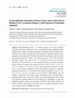 Research paper thumbnail of Transcriptional Activation of Stress Genes and Cytotoxicity in Human Liver Carcinoma (HepG2) Cells Exposed to Pentachlorophenol