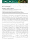 Research paper thumbnail of Phenology of Predation on Insects in a Tropical Forest: Temporal Variation in Attack Rate on Dummy Caterpillars