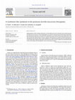 Research paper thumbnail of A Cardinium-like symbiont in the proturan Acerella muscorum (Hexapoda)