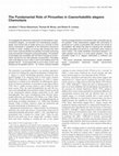 Research paper thumbnail of The Fundamental Role of Pirouettes in Caenorhabditis elegans Chemotaxis