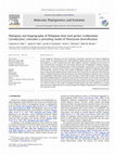 Research paper thumbnail of Phylogeny and biogeography of Philippine bent-toed geckos (Gekkonidae: Cyrtodactylus) contradict a prevailing model of Pleistocene diversification