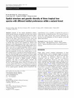 Research paper thumbnail of Spatial structure and genetic diversity of three tropical tree species with different habitat preferences within a natural forest