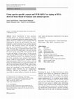 Research paper thumbnail of Using species-specific repeat and PCR–RFLP in typing of DNA derived from blood of human and animal species