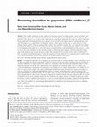 Research paper thumbnail of Flowering transition in grapevine ( Vitis vinifera L