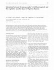 Research paper thumbnail of Interaction between the mycoparasite Verticillium fungicola and the vegetative mycelial phase of Agaricus bisporus