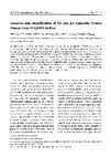 Research paper thumbnail of Isolation and Identification of SA and JA Inducible Protein Kinase Gene OsSJMK1 in Rice